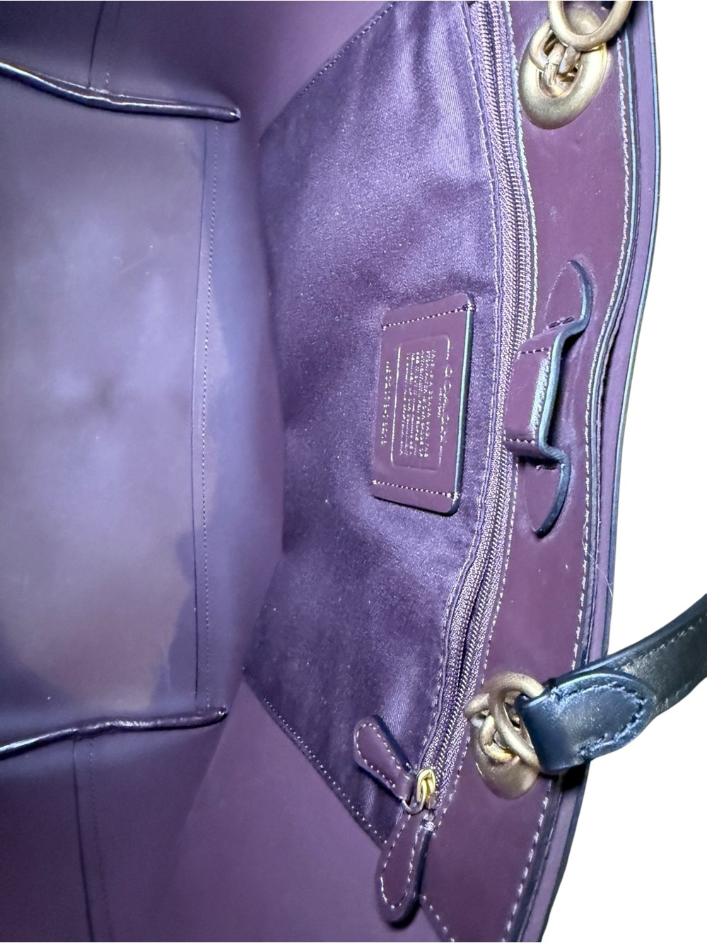 Nut 🥜 Coach Signature Chain Central Tote - Picture 9 of 10